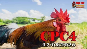Xem video đá gà thomo CPC4 hôm nay 17052026
